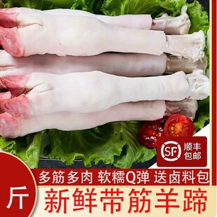 ���r���������������r�������������ֻצ�����^������������_��