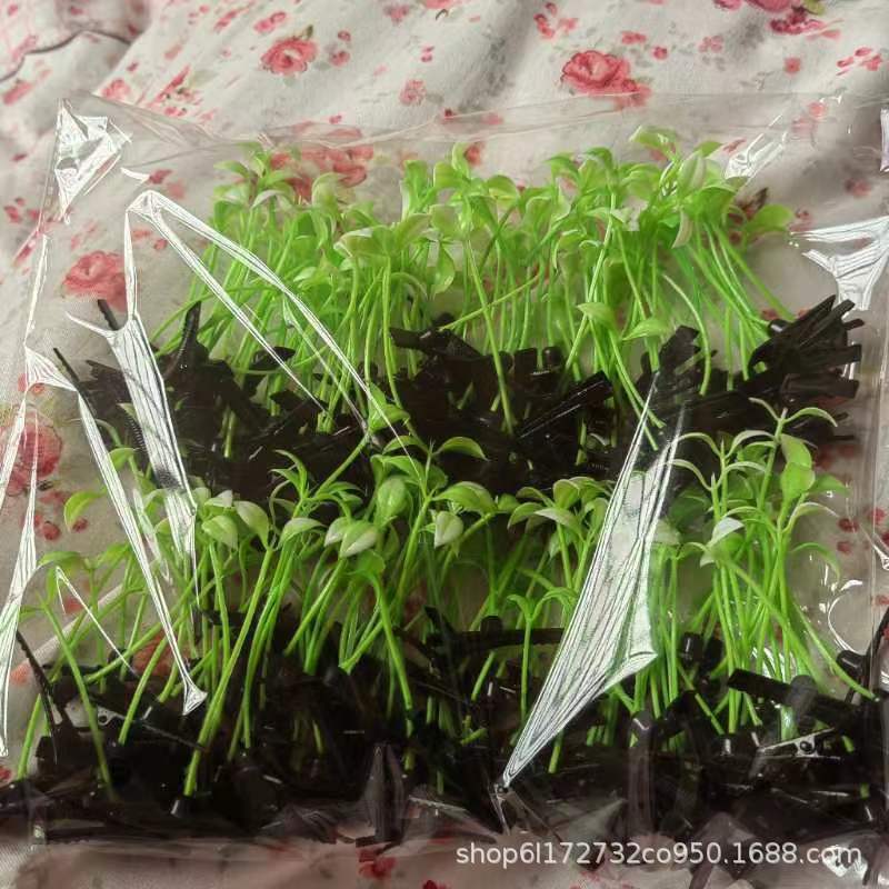 녹색 콩나물 비녀