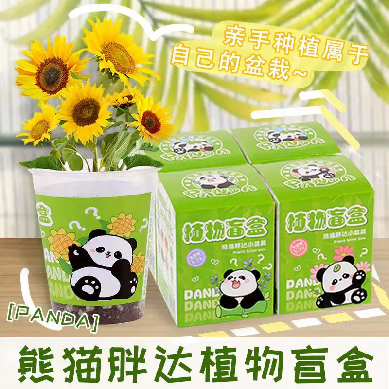 创意植物盲盒小盆栽幼儿园礼物室内种植花卉种子学生桌面绿植盆栽