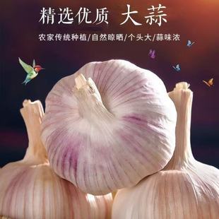 �����^�����ش����rɽ�|��N���ϰ�Ƥ����r