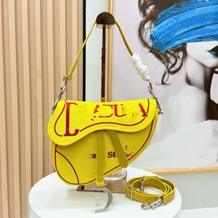 �¿�saddle bag�̽��R����CD�͹�Ħ�Ǹ�б����r��Ҹ�°����Q�羳