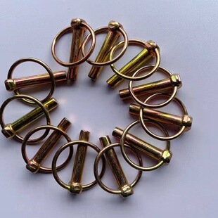 �r�������C�Ғ���N �_���N ���U�N�����i�N���N�A�N�A���N