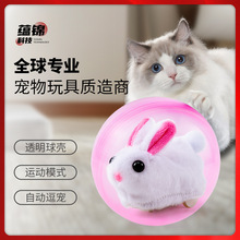 跨境仓鼠滚动球玩具万向电动仓鼠球宠物猫咪玩具儿童抖音同款批发