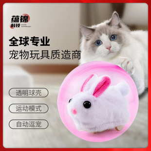 �羳�}��L��������f��늄ӂ}������؈����߃�ͯ����ͬ�����l