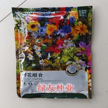 重瓣太阳花可四季易活开花不断多年生盆栽小丽花籽室外大丽花种子