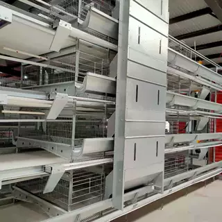 层叠式蛋鸡笼肉鸡笼捡蛋机清粪机喂料机定制实体厂家