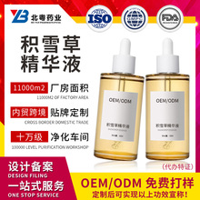定制积雪草精华液跨境TK护肤品oem舒缓肌肤滋润补水面部精华工厂
