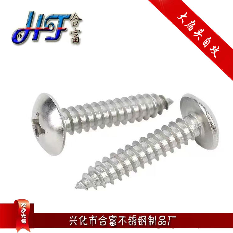 304不锈钢大扁头自攻螺丝 φ2.9 3.5蘑菇头自攻扁圆头木螺丝