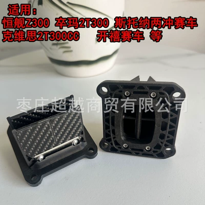 Hengjian Z300 Intake Valve Two-Stroke Valve components