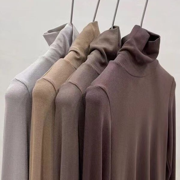 Regular/Fleece-Lined Base Shirt for Women, New Autumn Slim-Fit High-Neck Stylish Skin-Friendly Long-Sleeve T-Shirt, Versatile Top for Women