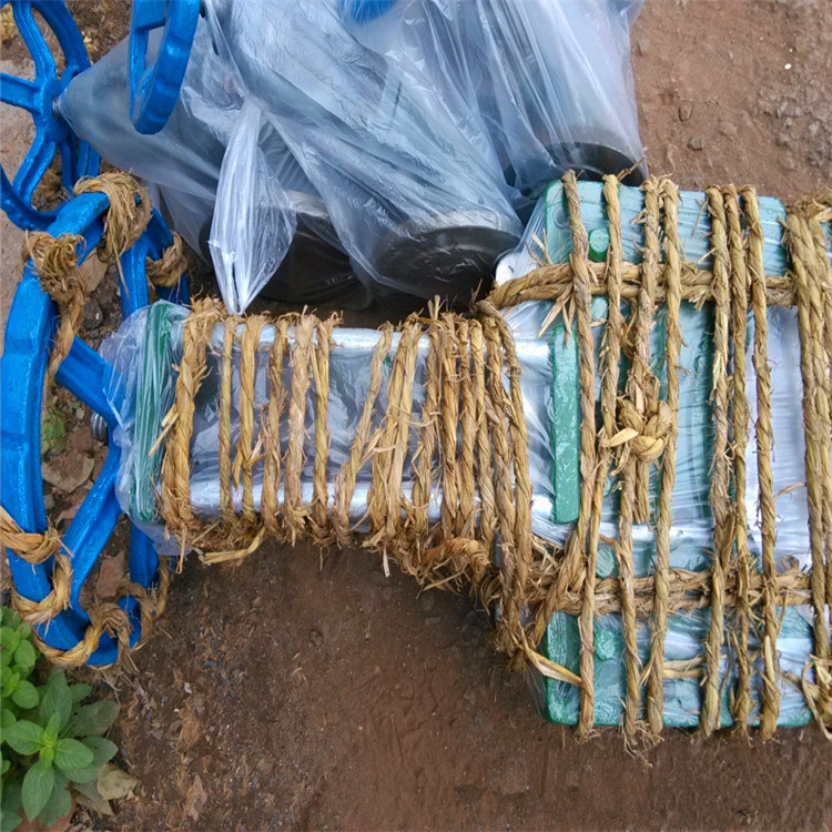 Z73X-10 DN50铸铁浆液阀