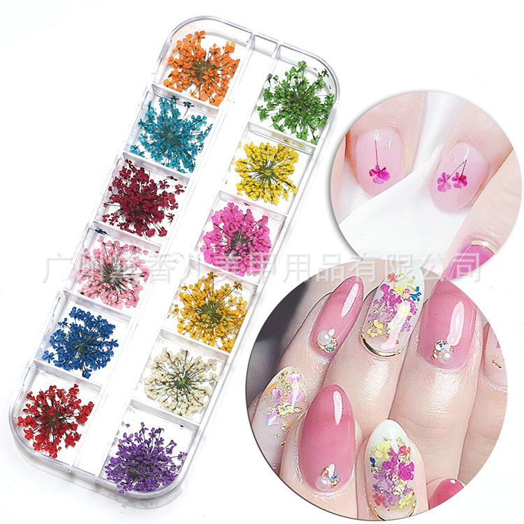 12-color largo grande flor seca manicura encaje flor seca manicura tridimensional flor seca flor real 24 uñas flor seca joyería