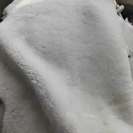生皮、毛皮;鞋垫/增高垫;护肩