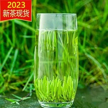 新羽 2023新茶 雀舌嫩芽春茶叶 高山毛尖绿茶100g/500g多规格散装