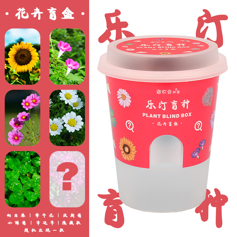 꽃 블라인드 박스