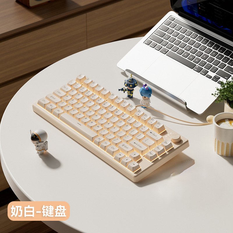 機械の手触りの女子学生の電気競争のキーボードは有線でタイプします。|undefined