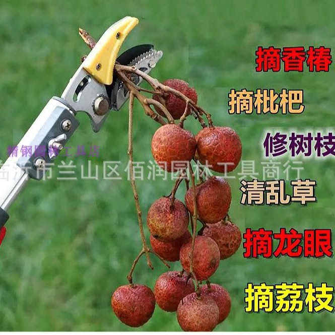 出口日本日式摘果高空摘果神器锯摘果工具
