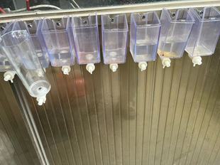 Soap dispenser spring pump head