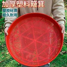 塑料筛子加厚圆形米筛有孔可沥水过滤圆簸箕家用晾晒多用细孔筛子