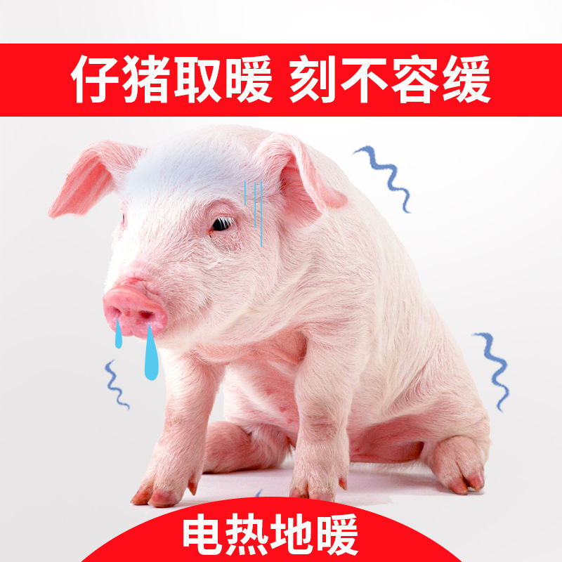 微信图片_20210303234853