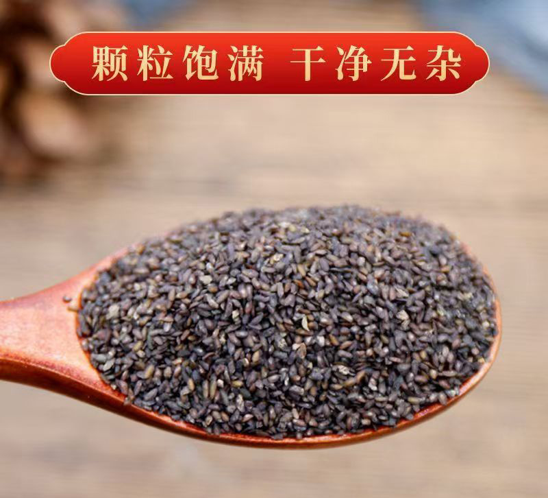 Plantain Seed Che Qian Zi Dried Herb 100g Jar for Decoction and Tea specifications