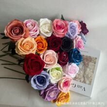 �q��õ����˼õ õ���ٲ�������c�b� ����õ�� õ�廨�� �l�[��