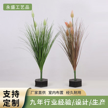 ������β�ݰ�����β�ݾGֲ���Ԕ[�������b����[�ݻ�����c��