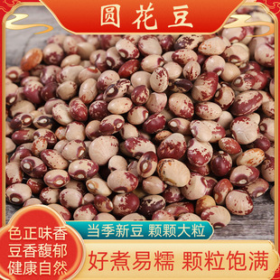 �A�����A�������l��؈���r�ҷNֲ������؛�����Ҝ��s�Z���b25kg