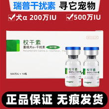瑞普生物犬重组犬α-干扰素权干素200w 500万IU细小冻干型