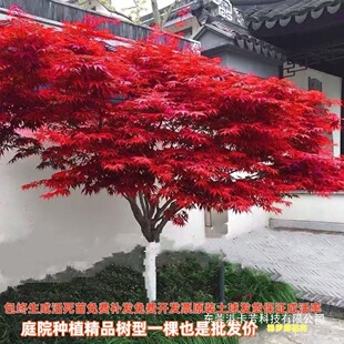 �t�����ļ��e��ͥԺ���AС�~�t������t������t�輧�t���Gֲ