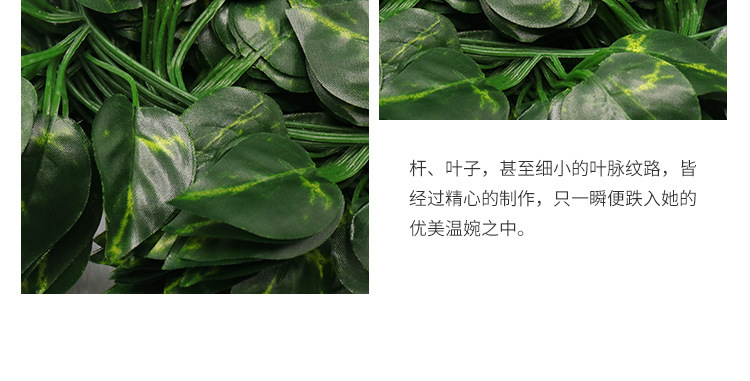 小条详情图片10