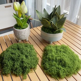 �S��ֱ�N����̦�\���l����ֲë��̦�K �Ҿ��b�ëʯ�^������ʯ�^