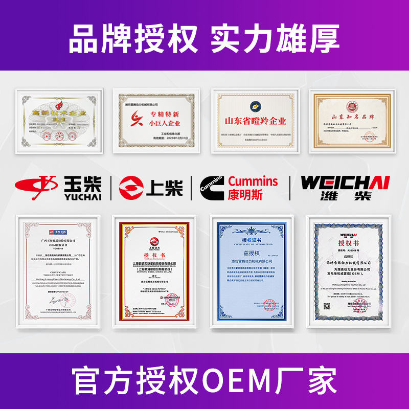 省燃費で耐久性のある濰坊 200kW ディーゼル発電機セット輸出/消防/工場/飼育/エンジニアリング|undefined