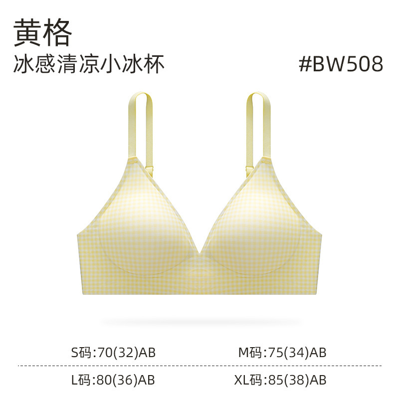 卸売夏の軽くて薄い女性の下着新鮮なハイエンドチェック柄カッププッシュアップ美しいバック三角カップブラセット|undefined