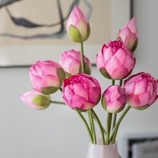 ����ɻ��ٻ����~ɏ��ɏ���͏d�廨�[�O�b�Ʒ���컨�����������l