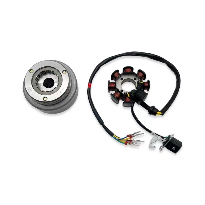 Suitable for Extreme Thieves Boserkevis Zongshen Cbs300/Nb300 Engine 8-Level 12-Level Magnetic Steel Coil