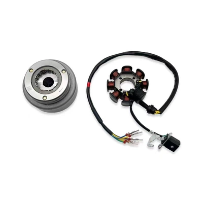 Motorcycle engine and accessories Boserkevis Zongshen Cbs300/Nb300 Engine - level-8-coil-magnet