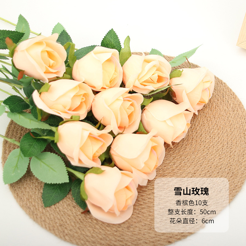 스노우 마운틴 로즈 샴페인 1 지점