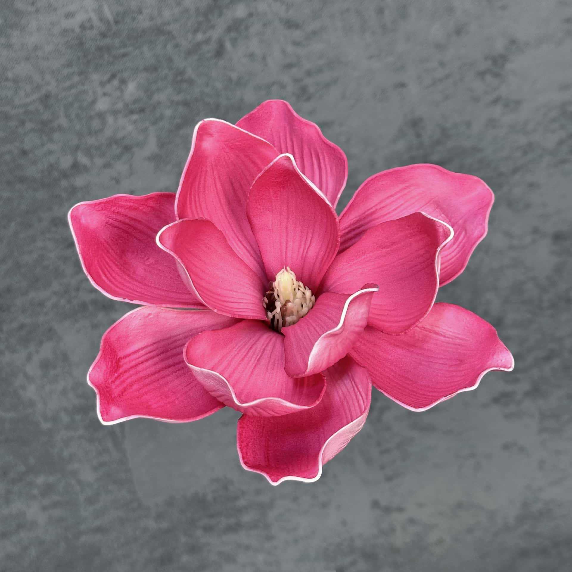 Flor de simulación transfronteriza EVA cabeza de magnolia 13cm tacto tocado kapok decoración decoración decoración flor falsa al por mayor