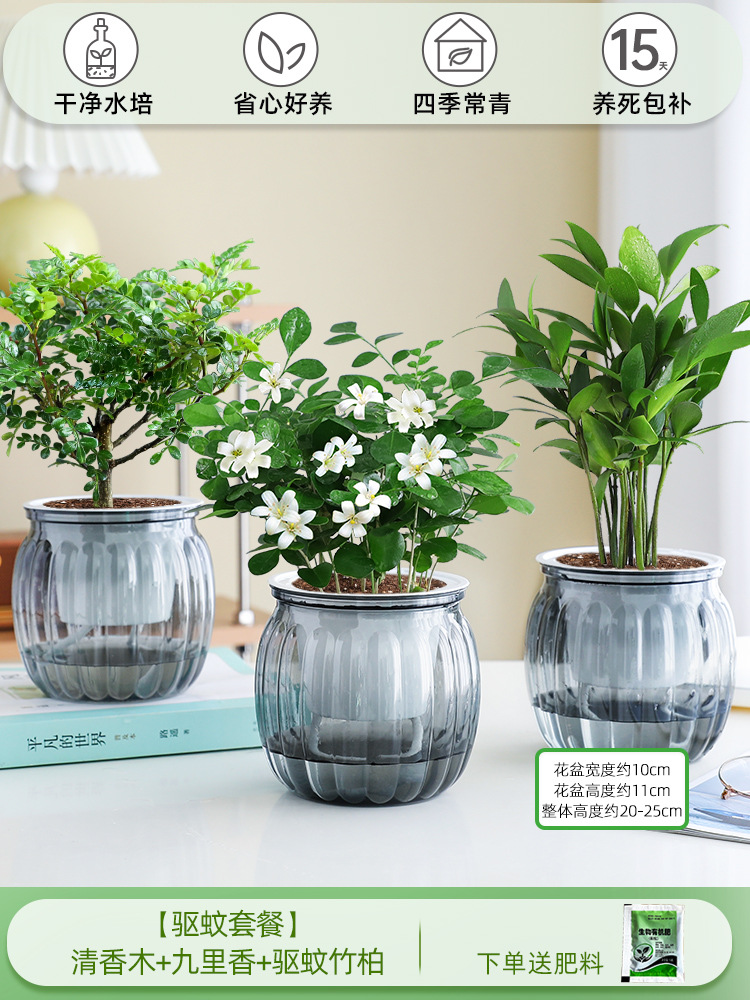 [모기퇴치 패키지] 향나무 + 구리향 + 모기퇴치대나무와 편백나무