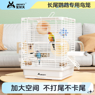 �������Lβ�W�^�B�\��Ƥ���Pĵ�����ô�a�e�����ô���g�����B�\
