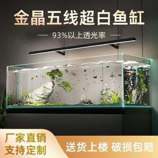 Customized Five-line Gold Crystal Super White Glass Fish Tank Customized Living Room Household Large Medium-small Square Grass Rainforest Turtle Tank