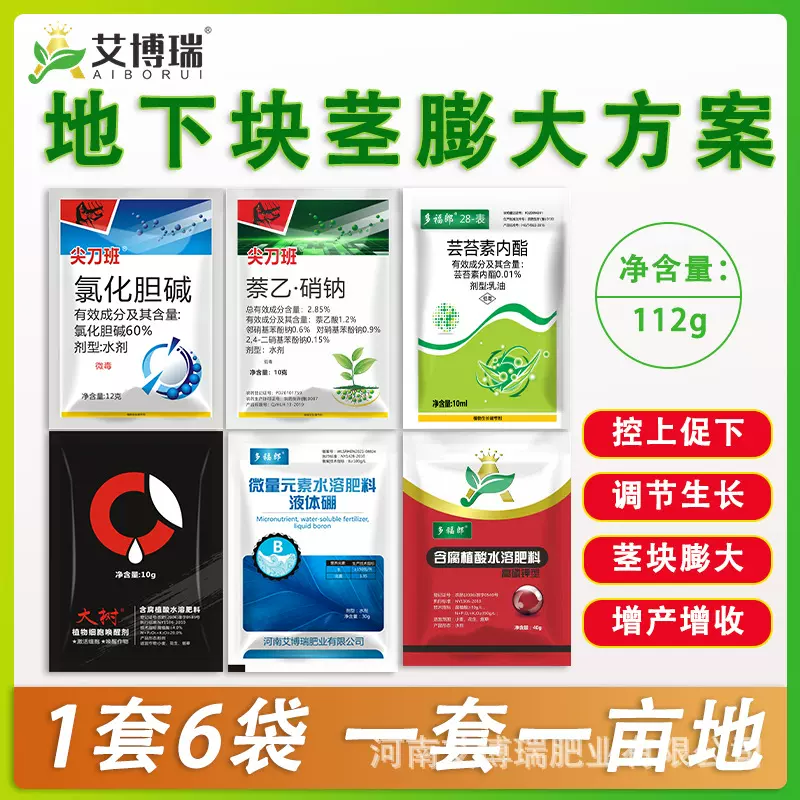 地下猛长膨大素块茎膨大方案土豆莲藕生姜蒜芋头红薯萝卜等地下茎