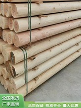 �������ľ������ľ����̼���A����ľ�����Aľ���Aľ��ԭľɼľ��