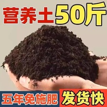 50斤袋装营养土家用阳台养花植物肥料土壤专用多肉育苗有机泥土