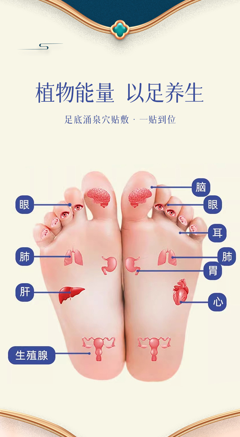 Wuzhu Cinnamon Patch Eight Treasures Foot Patch Multi-Use Mugwort Warm Moxibustion Foot Patch for Yongquan Point and Navel Patch detail image