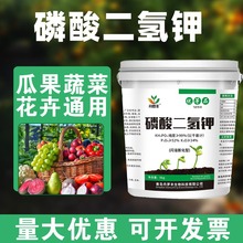 批发正品99%高纯度磷酸二氢钾叶面肥10斤大包装磷钾肥冲施肥通用