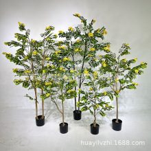 ߶pݷGֲԻ٘͏dbؔ[^쾰