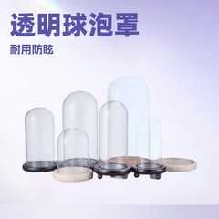 卸売り各種PET透明装飾品永生花クリスマス装飾ランプカバー防塵鮮度保持ブローLEDランプカバー