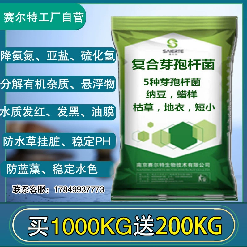 Аквакультура соединение Bacillus сырой порошок EM штамм рыбный пруд Аммиак Азот подсолевой сероводород очистка воды